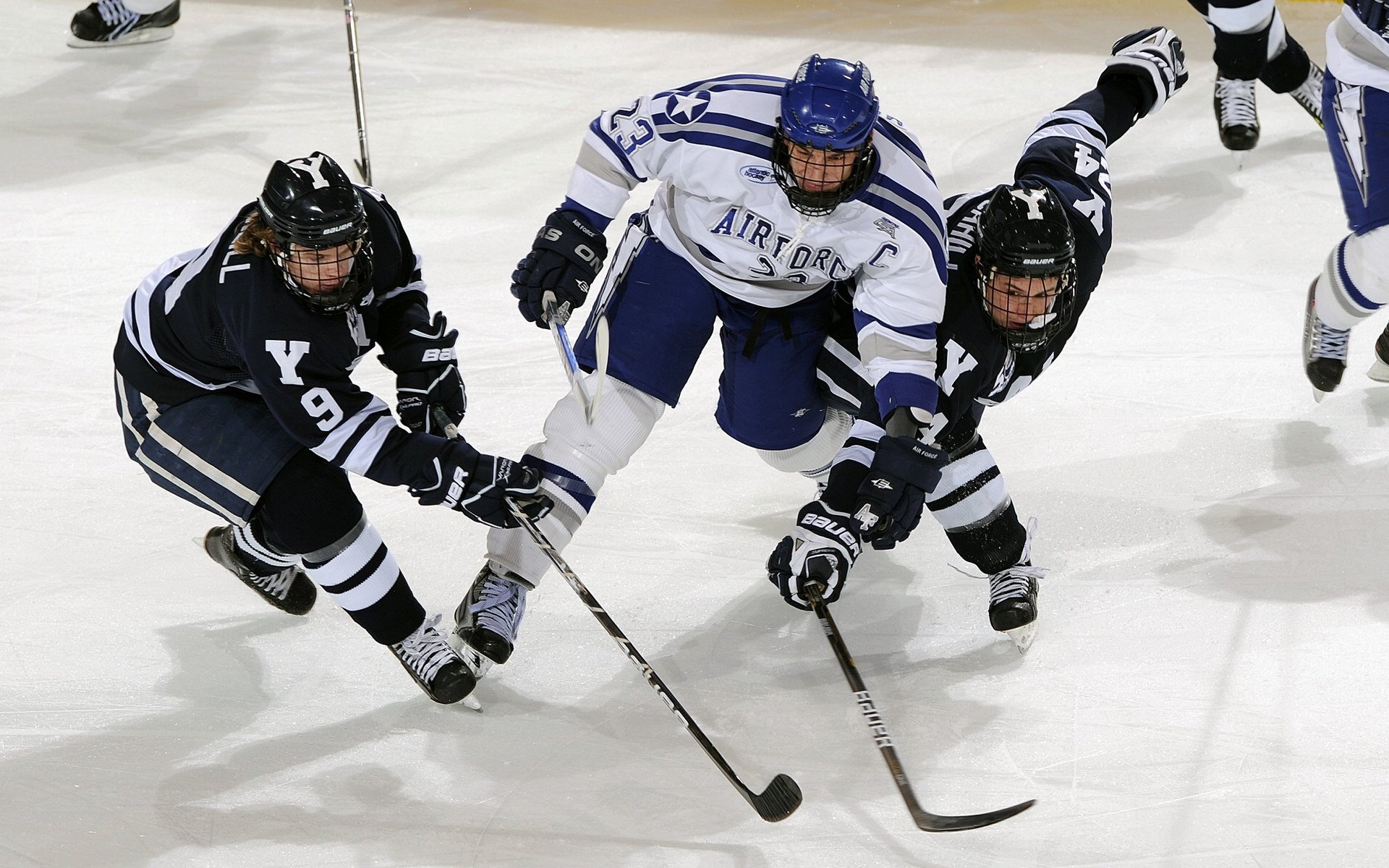 匈牙利队备战正酣,欧锦赛备受瞩目,匈牙利欧洲区预选赛