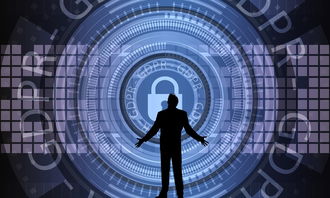 九游jiuyou-中国篮球联赛赛事安全管理优化与执行研究，篮球赛事安全风险