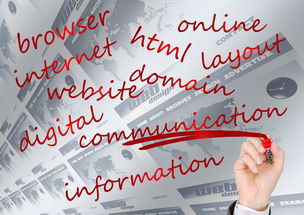 JIUYOU GAMING-校园体育赛事品牌建设路径与传播策略研究，校园体育竞赛体系