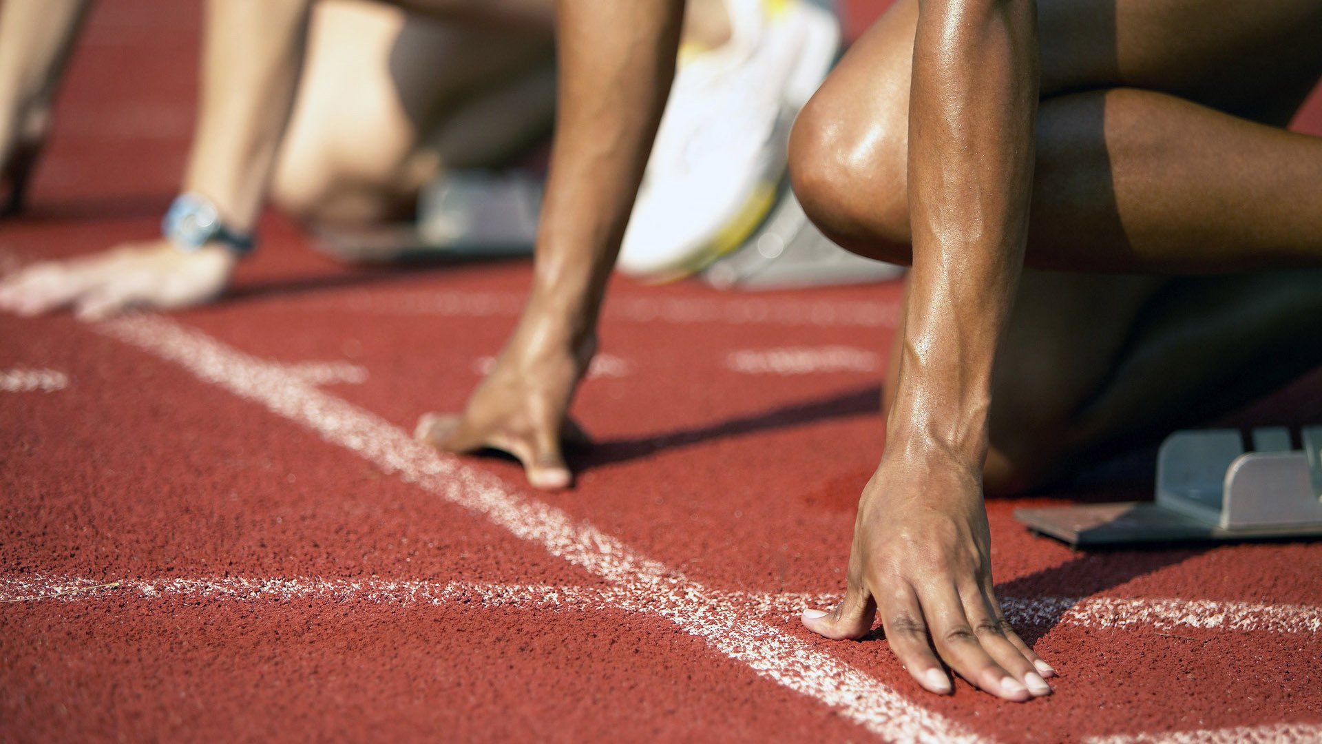 校园体育赛事品牌建设路径与传播策略研究,校园体育竞赛体系